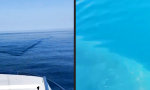 Lustiges Video : Auf Kurs gen Haimathafen