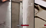 Funny Video : Nerven lassen sich nicht abrechnen