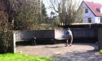 Movie : Coolster Frisbee Shot Ever?