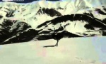 Movie : Pistenvogel