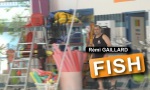 Fisch - Rémi Gaillard