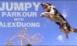 Movie : Alex und Jumpy